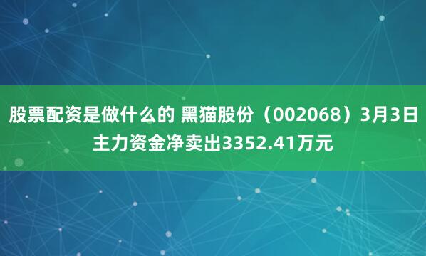 股票配资是做什么的 黑猫股份（002068）3月3日主力资金净卖出3352.41万元
