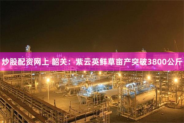 炒股配资网上 韶关：紫云英鲜草亩产突破3800公斤