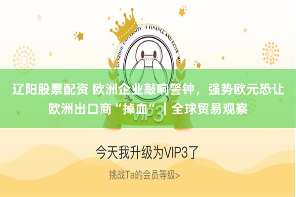 辽阳股票配资 欧洲企业敲响警钟，强势欧元恐让欧洲出口商“掉血”｜全球贸易观察