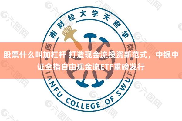 股票什么叫加杠杆 打造现金流投资新范式，中银中证全指自由现金流ETF重磅发行