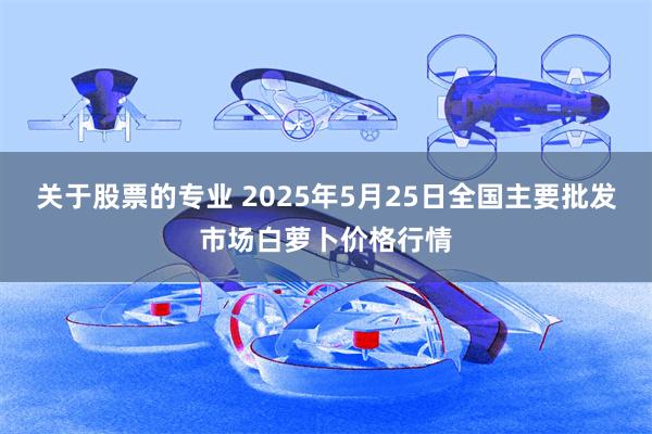 关于股票的专业 2025年5月25日全国主要批发市场白萝卜价格行情