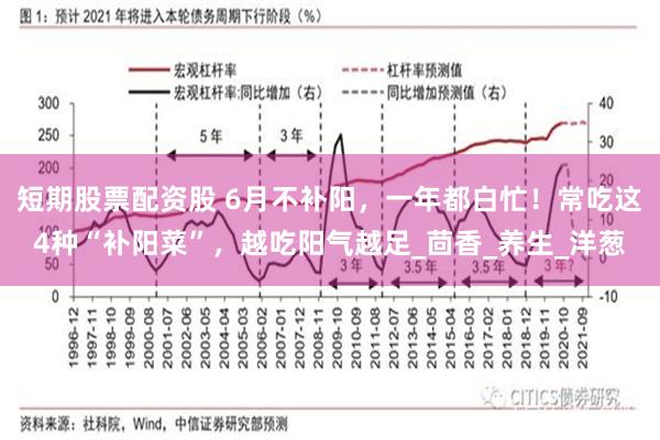 短期股票配资股 6月不补阳，一年都白忙！常吃这4种“补阳菜”，越吃阳气越足_茴香_养生_洋葱