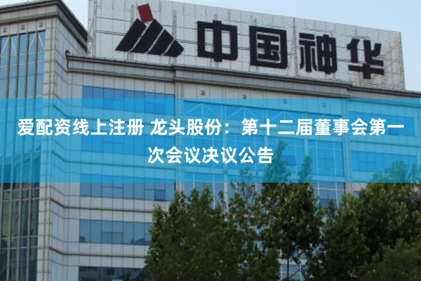 爱配资线上注册 龙头股份：第十二届董事会第一次会议决议公告
