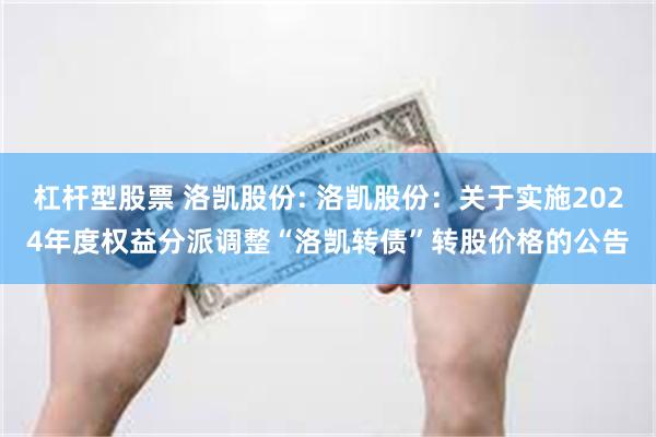 杠杆型股票 洛凯股份: 洛凯股份：关于实施2024年度权益分派调整“洛凯转债”转股价格的公告