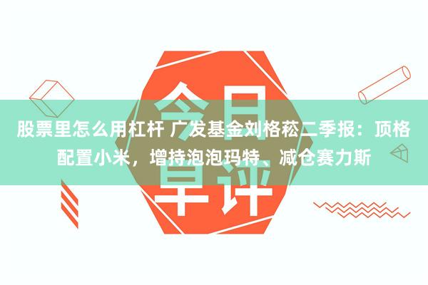 股票里怎么用杠杆 广发基金刘格菘二季报：顶格配置小米，增持泡泡玛特、减仓赛力斯