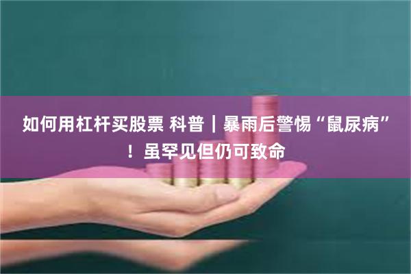 如何用杠杆买股票 科普｜暴雨后警惕“鼠尿病”！虽罕见但仍可致命