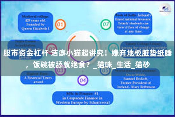 股市资金杠杆 洁癖小猫超讲究！嫌弃地板脏垫纸睡，饭碗被舔就绝食？_猫咪_生活_猫砂
