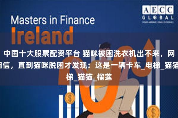 中国十大股票配资平台 猫咪被困洗衣机出不来，网友不相信，直到猫咪脱困才发现：这是一辆卡车_电梯_猫猫_榴莲