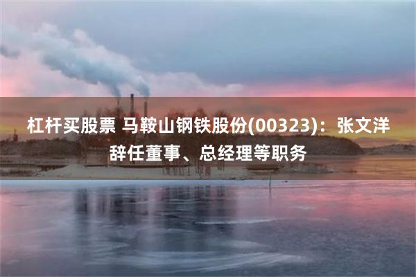 杠杆买股票 马鞍山钢铁股份(00323)：张文洋辞任董事、总经理等职务