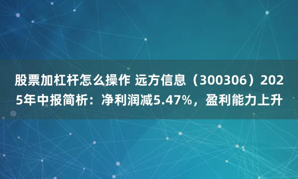 股票加杠杆怎么操作 远方信息（300306）2025年中报简析：净利润减5.47%，盈利能力上升